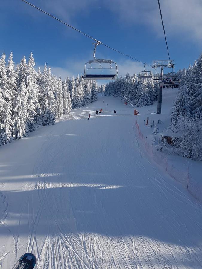 Moni Luxury Apartments Kopaonik Bagian luar foto